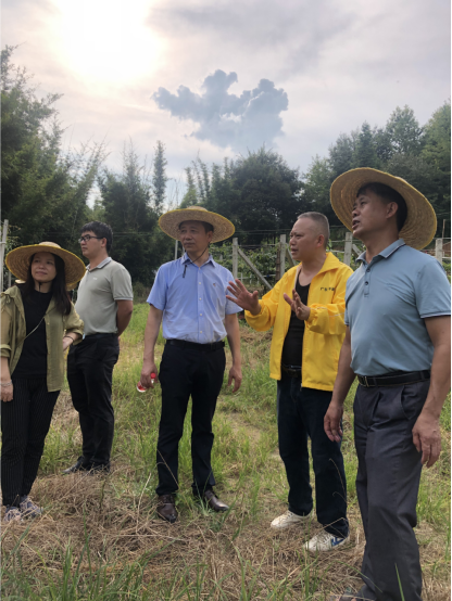 太阳成集团tyc33455