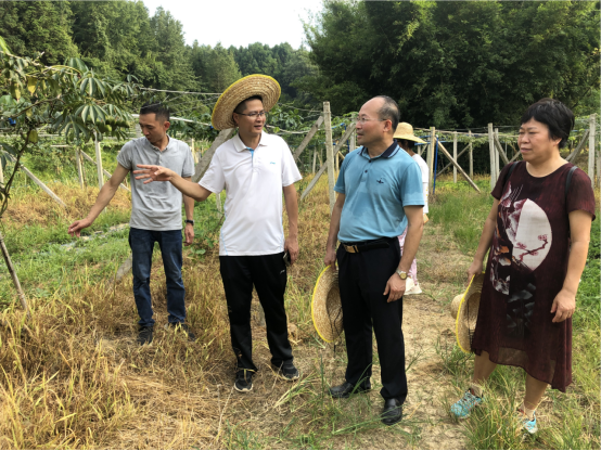 太阳成集团tyc33455