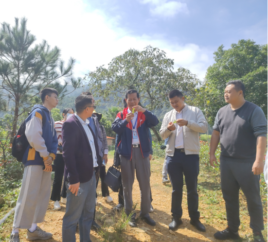 太阳成集团tyc33455